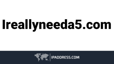 Why iReallyNeeda5.com Stands Out in a Crowded Internet World