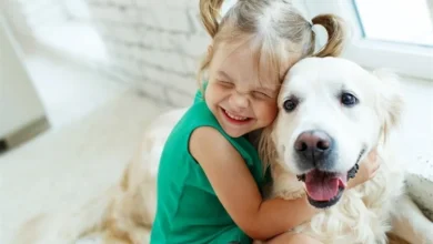 Pandemic Puppies: The Surprising Mental Health Benefits for Children
